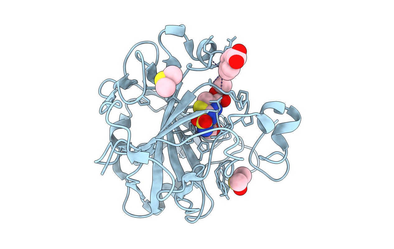 4FPT image