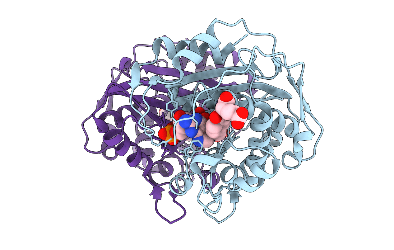 4FQS image