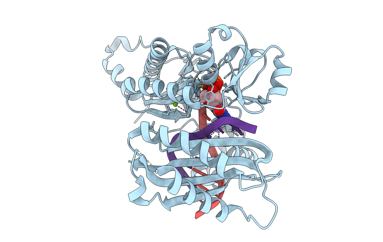 4FS2 image
