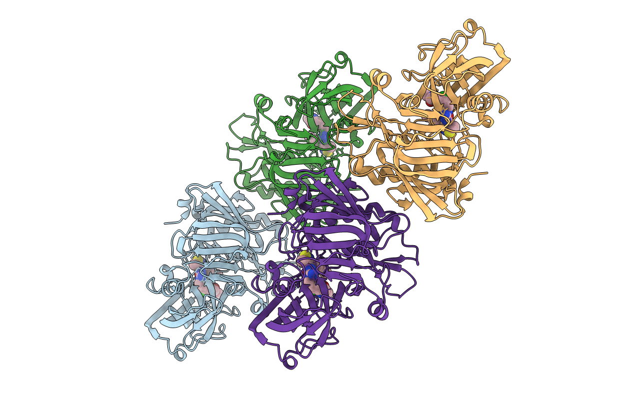 4FSL image