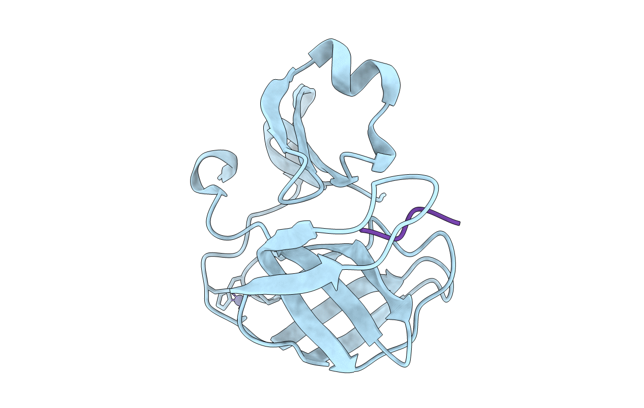 4FVD image