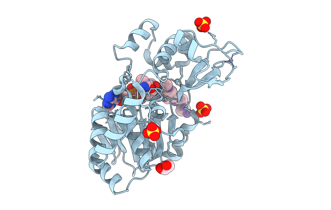 4FVT image