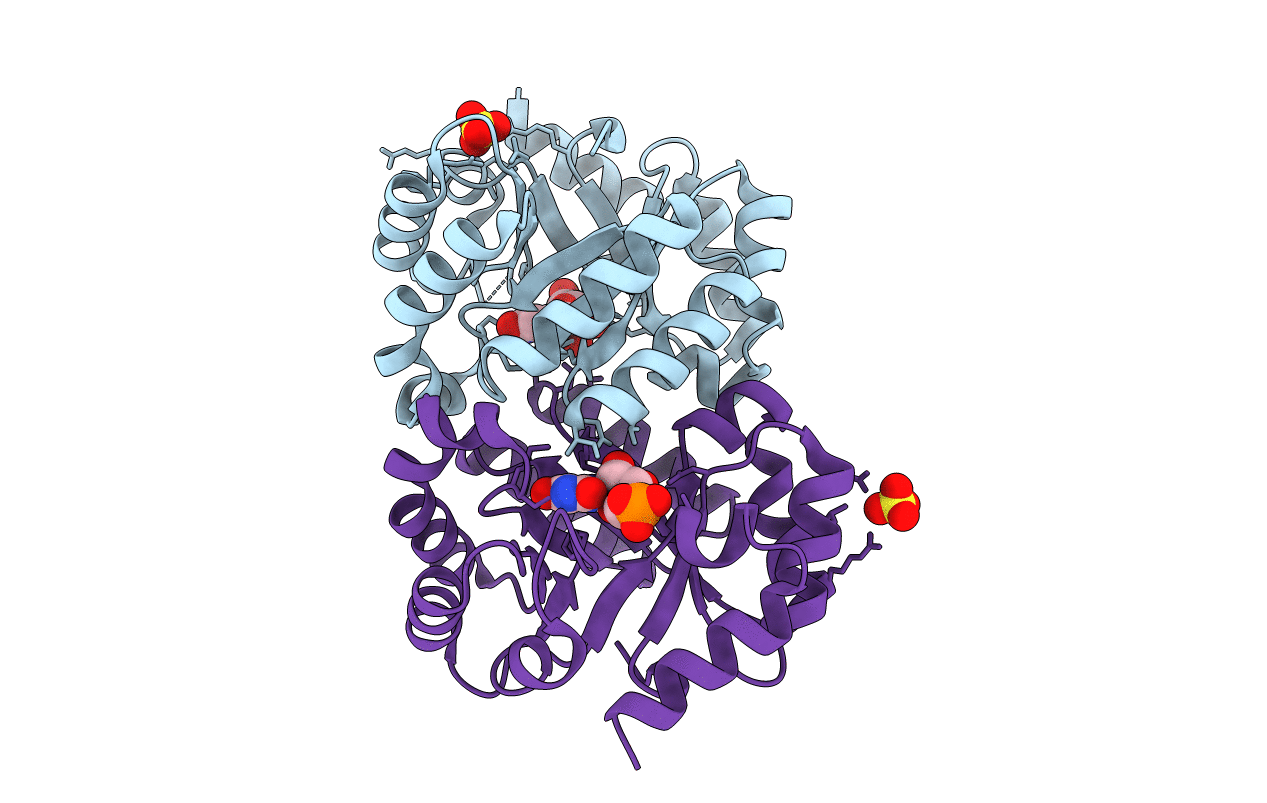4FX8 image