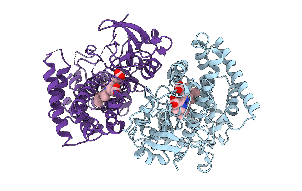 4FXB image
