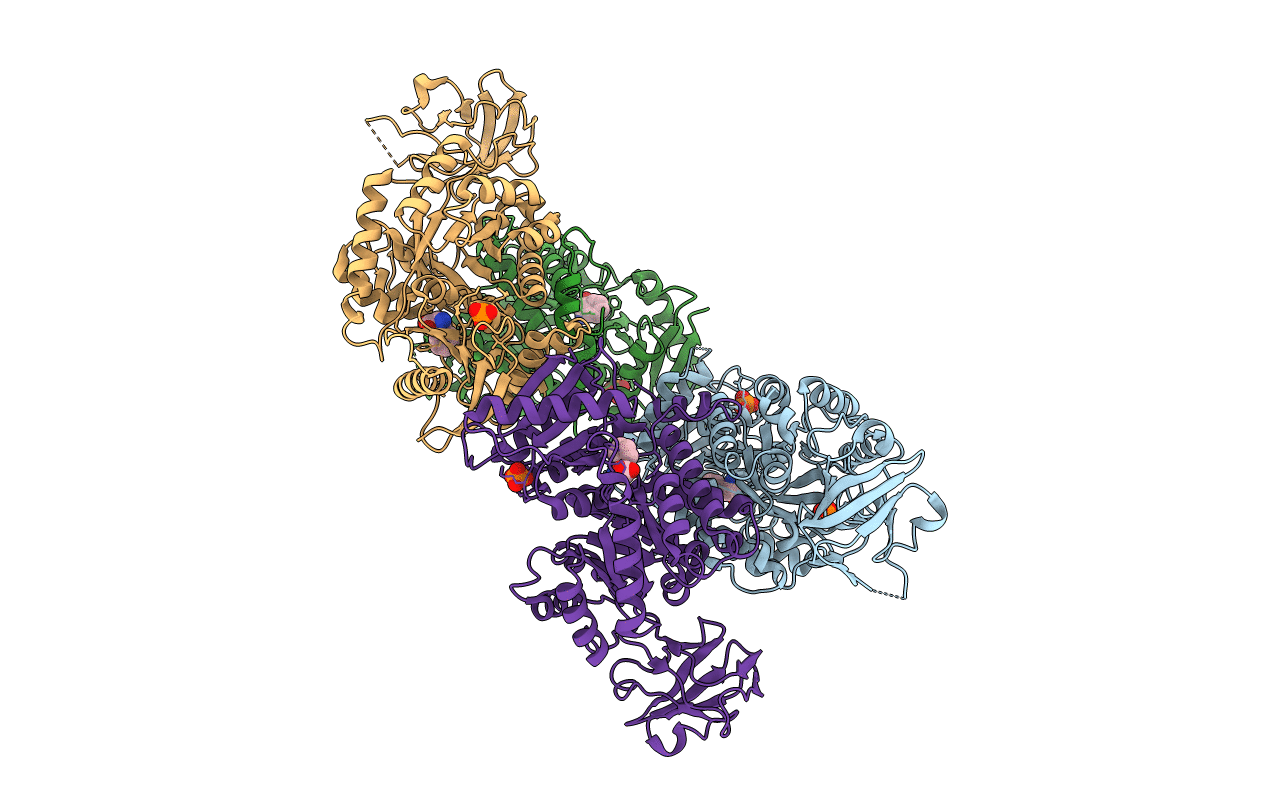 4FXJ image