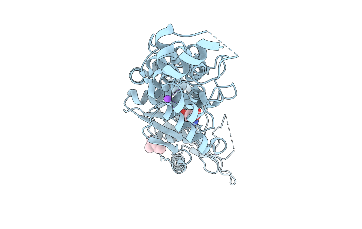 4G6Z image