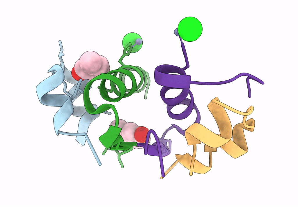 4GBN image