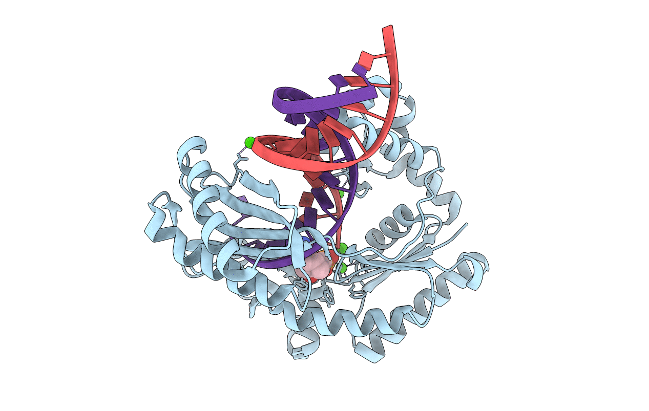 4GC6 image