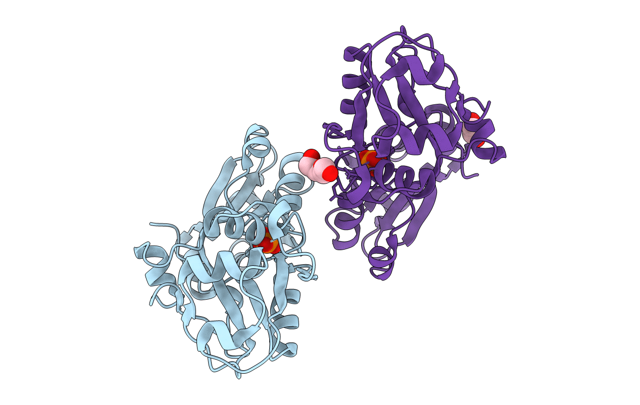 4GD5 image