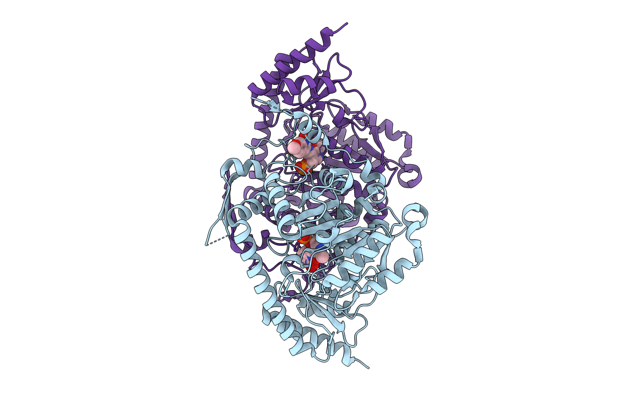4GE4 image
