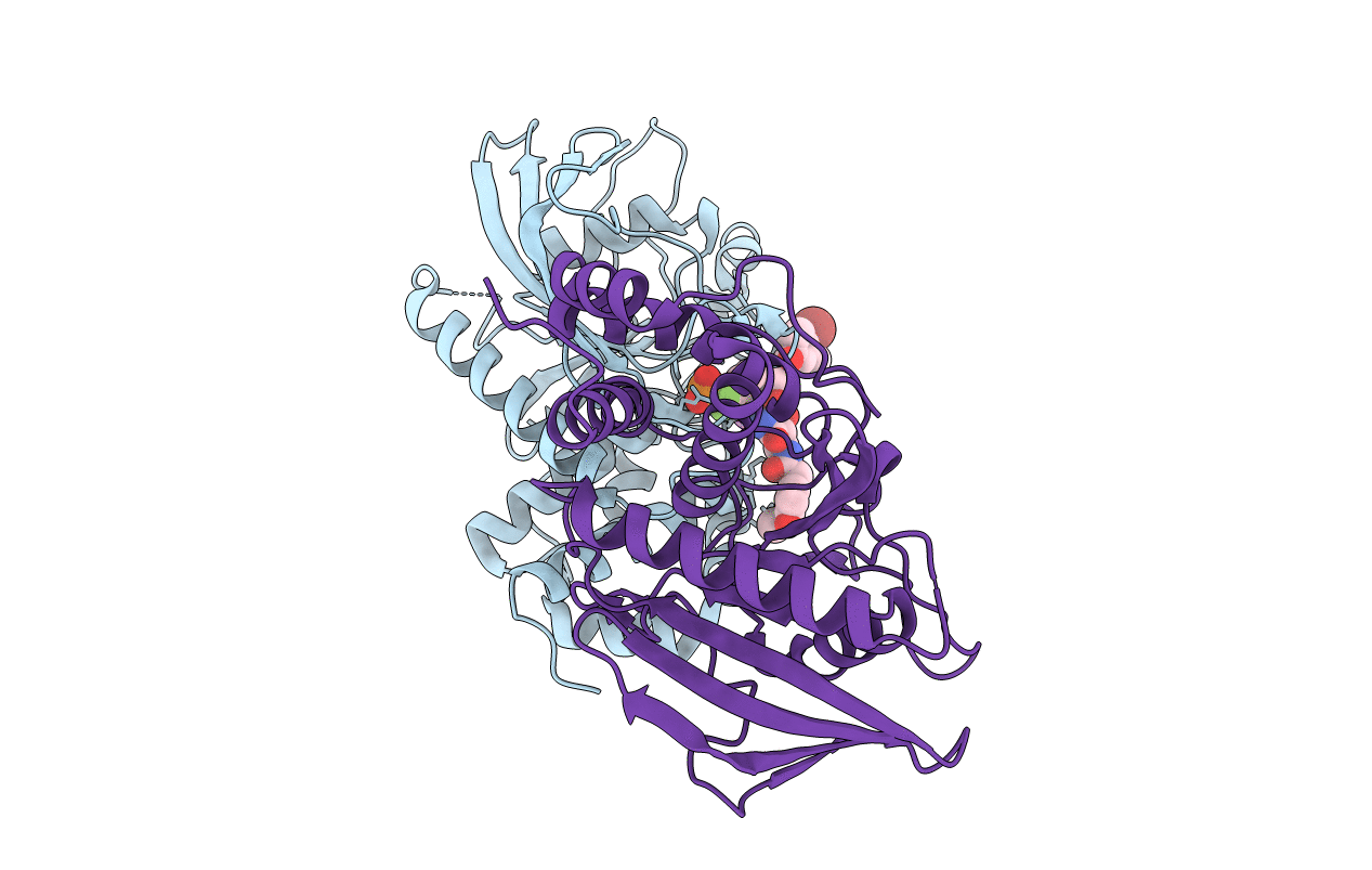 4GE6 image