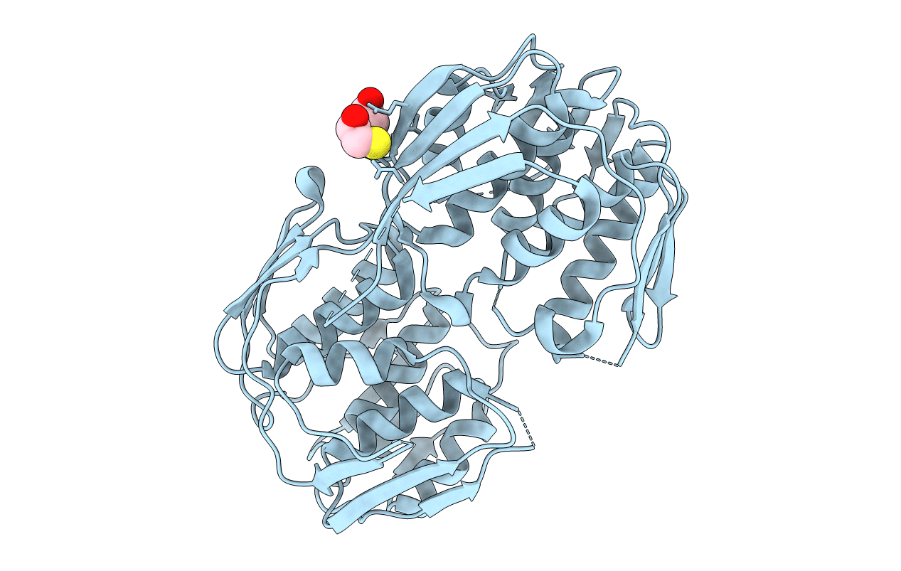 4GFP image