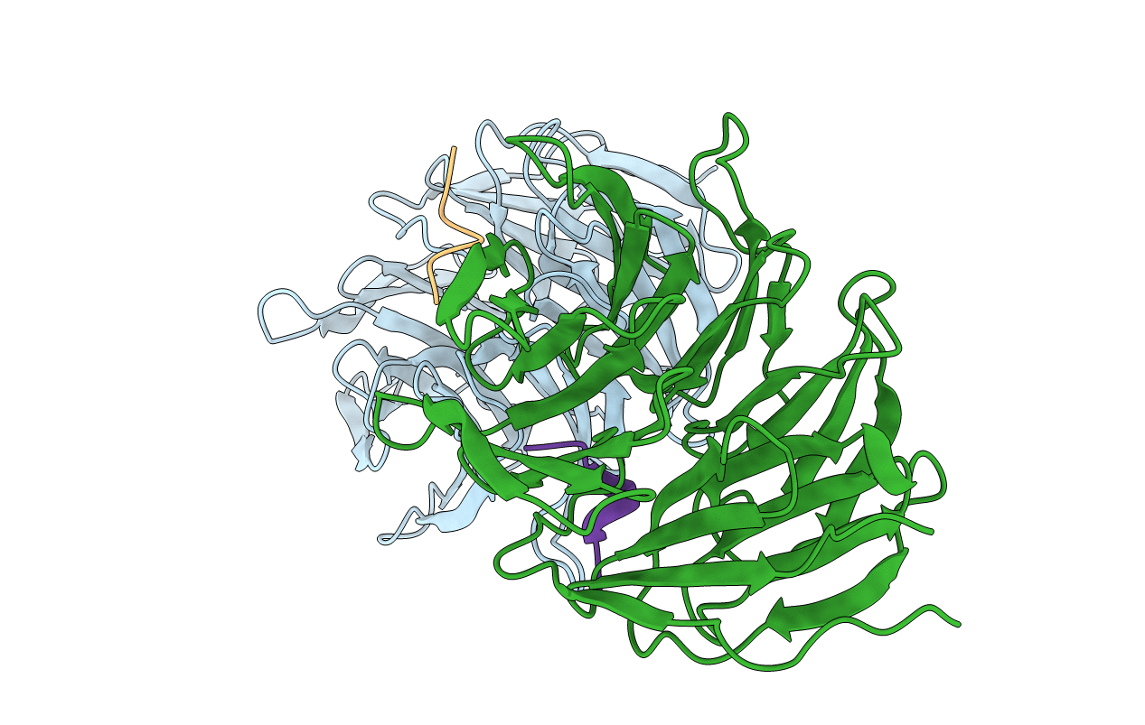 4GGD image