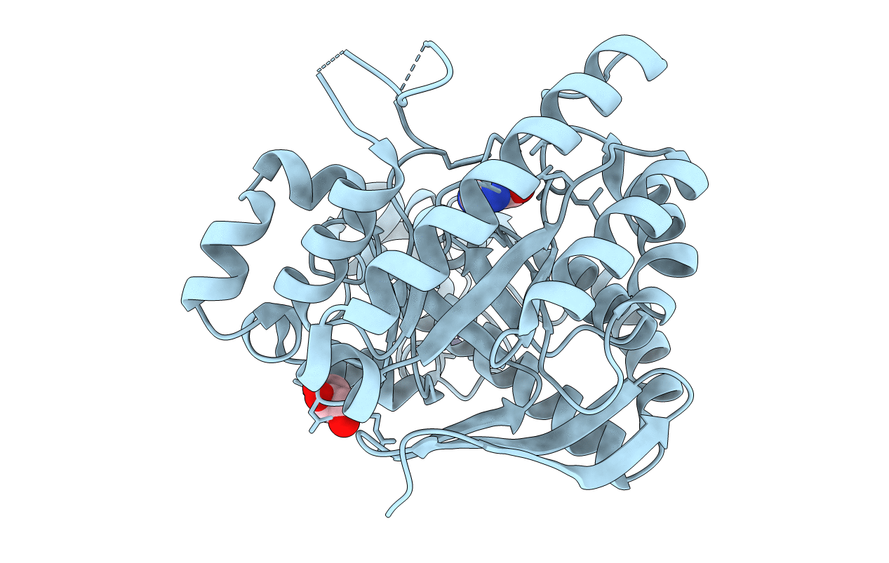 4GHR image
