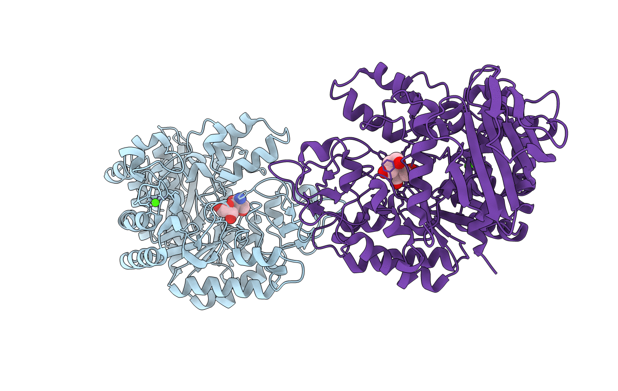 4GI9 image