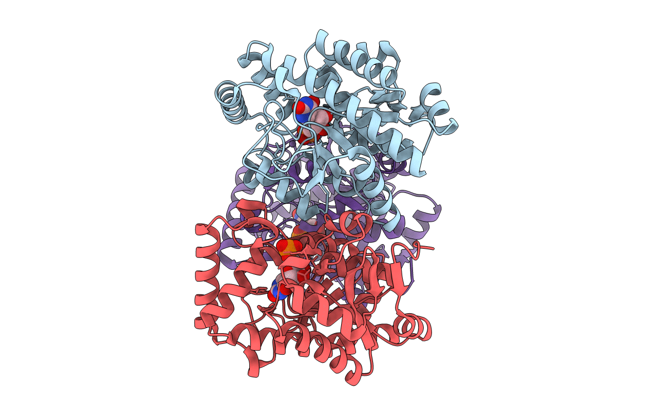 4GIM image