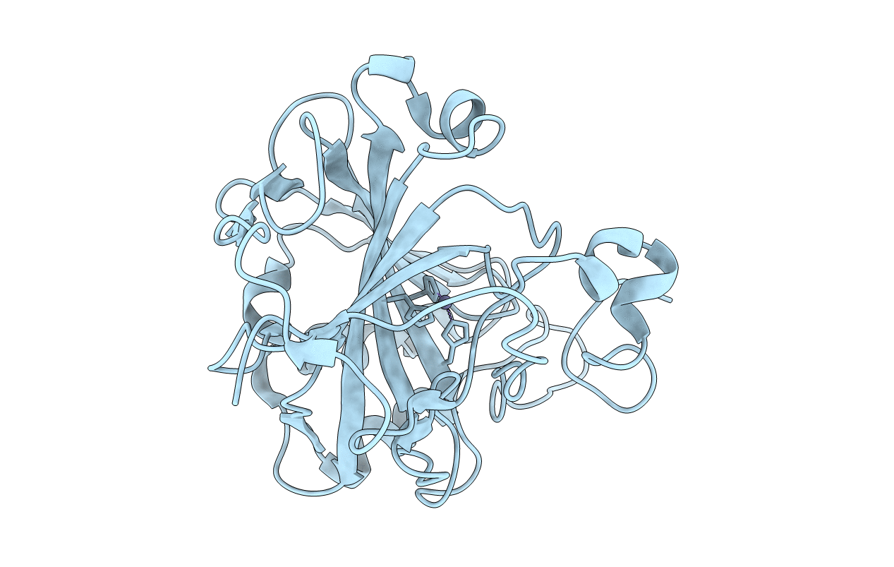 4GL1 image