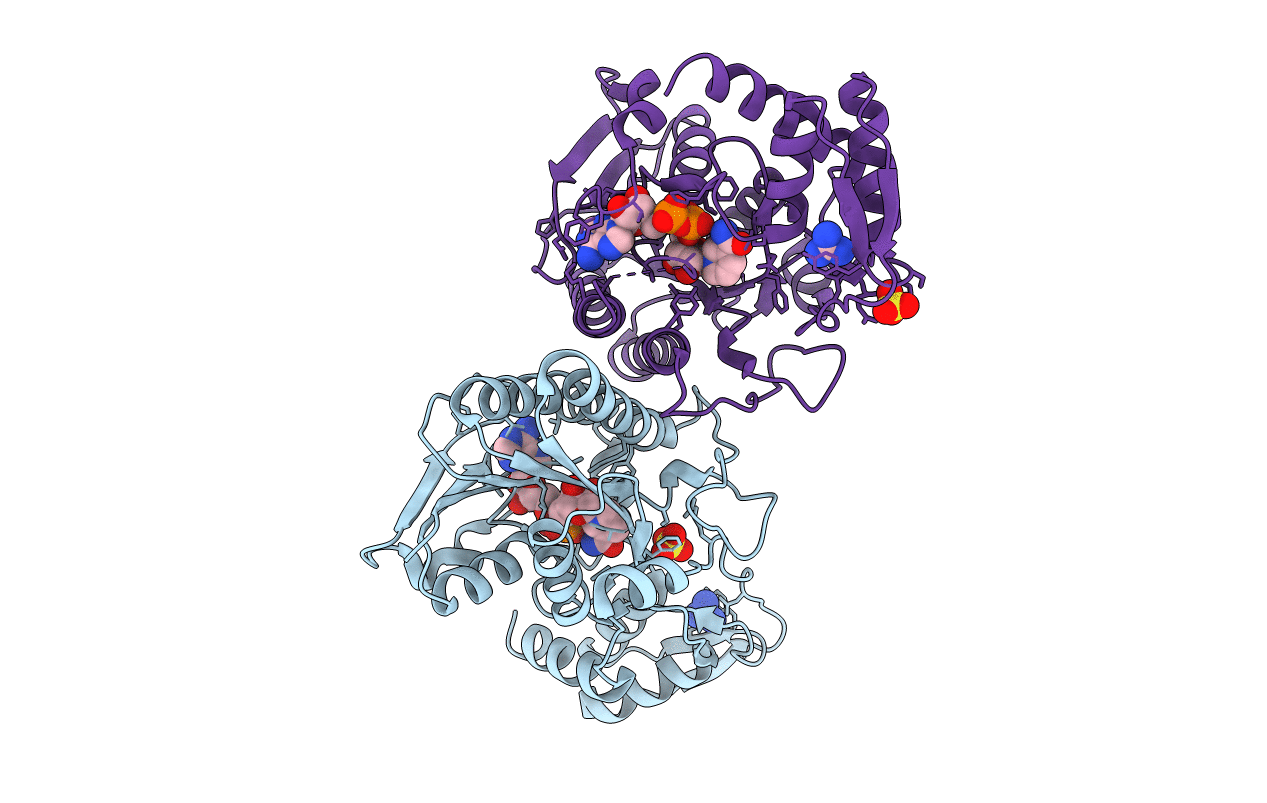 4GLL image