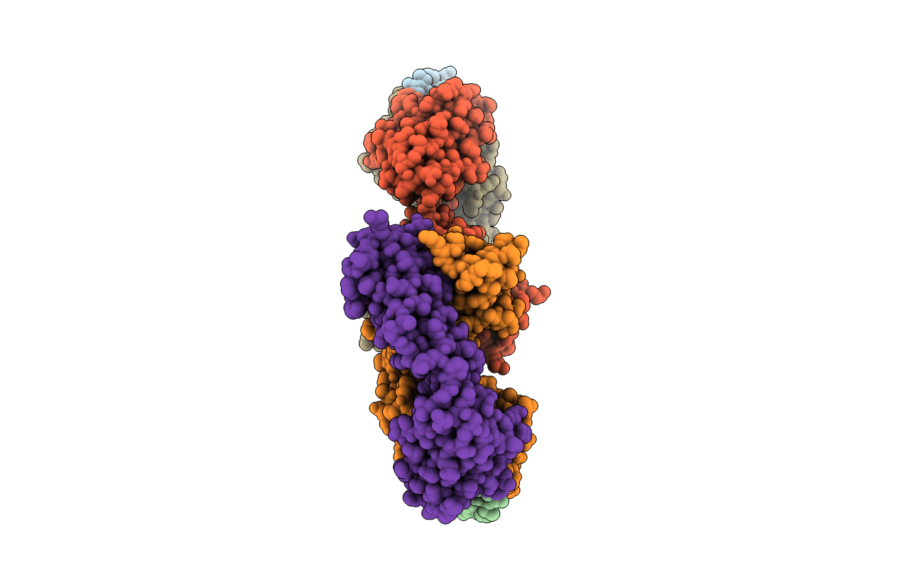 4GLR image