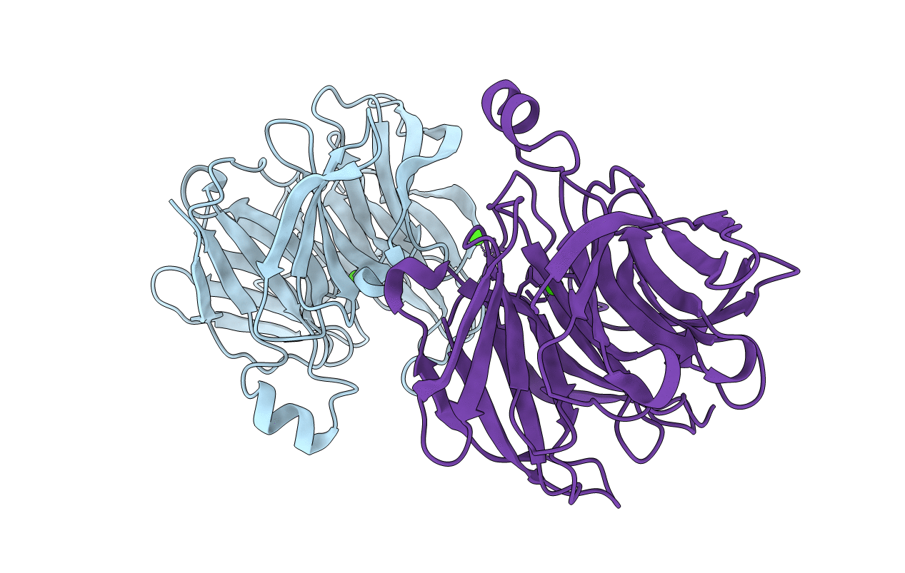 4GNB image