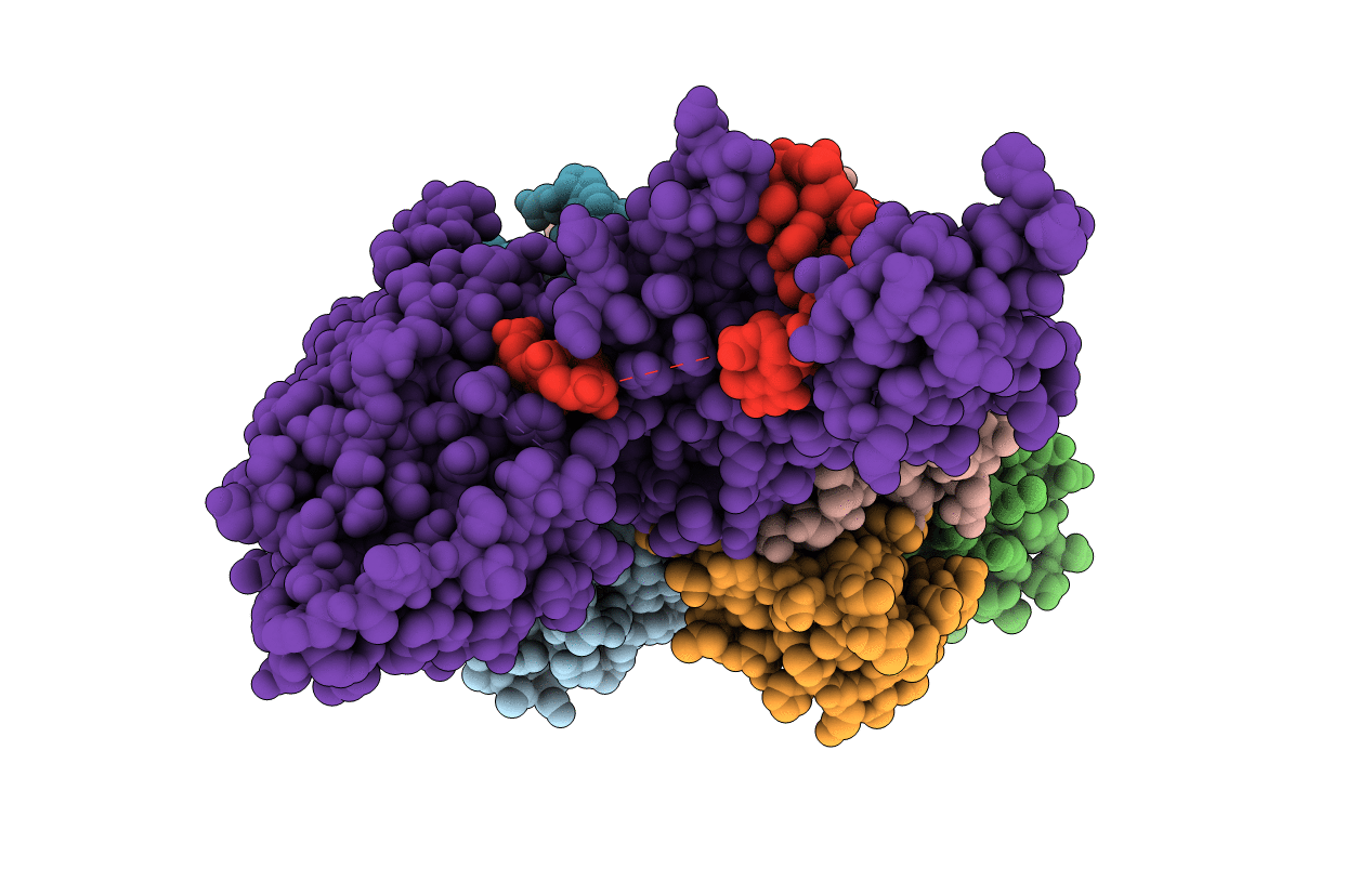 4GNX image