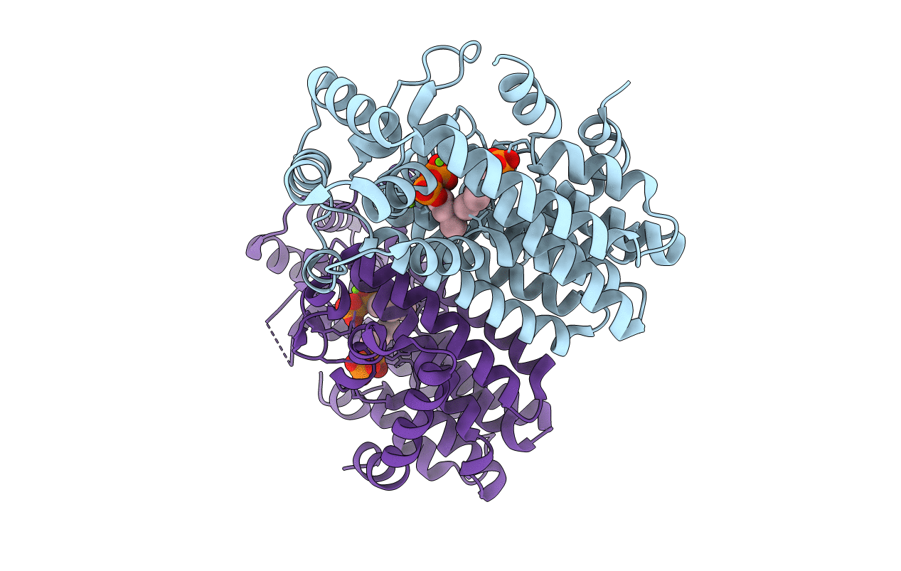 4GP2 image