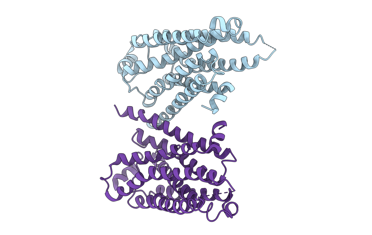 4GPO image