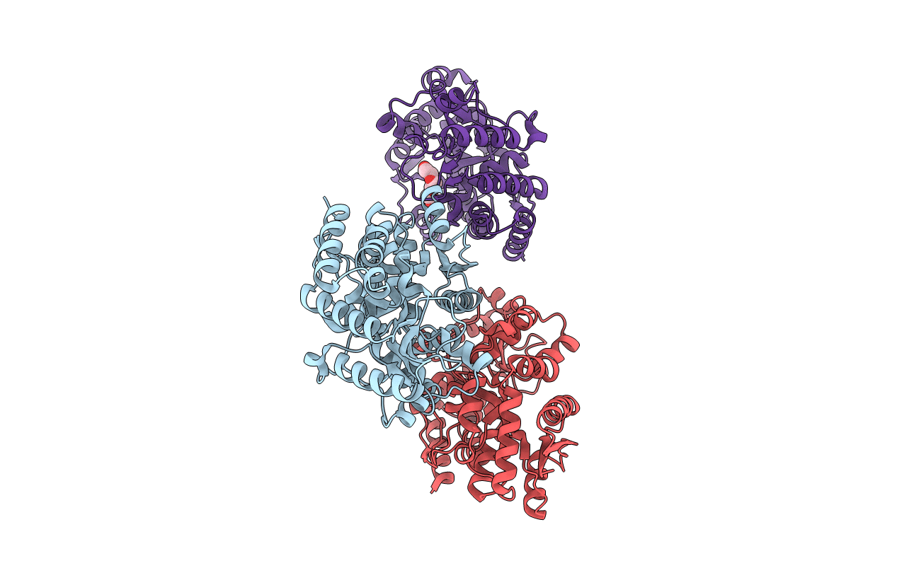 4GQO image