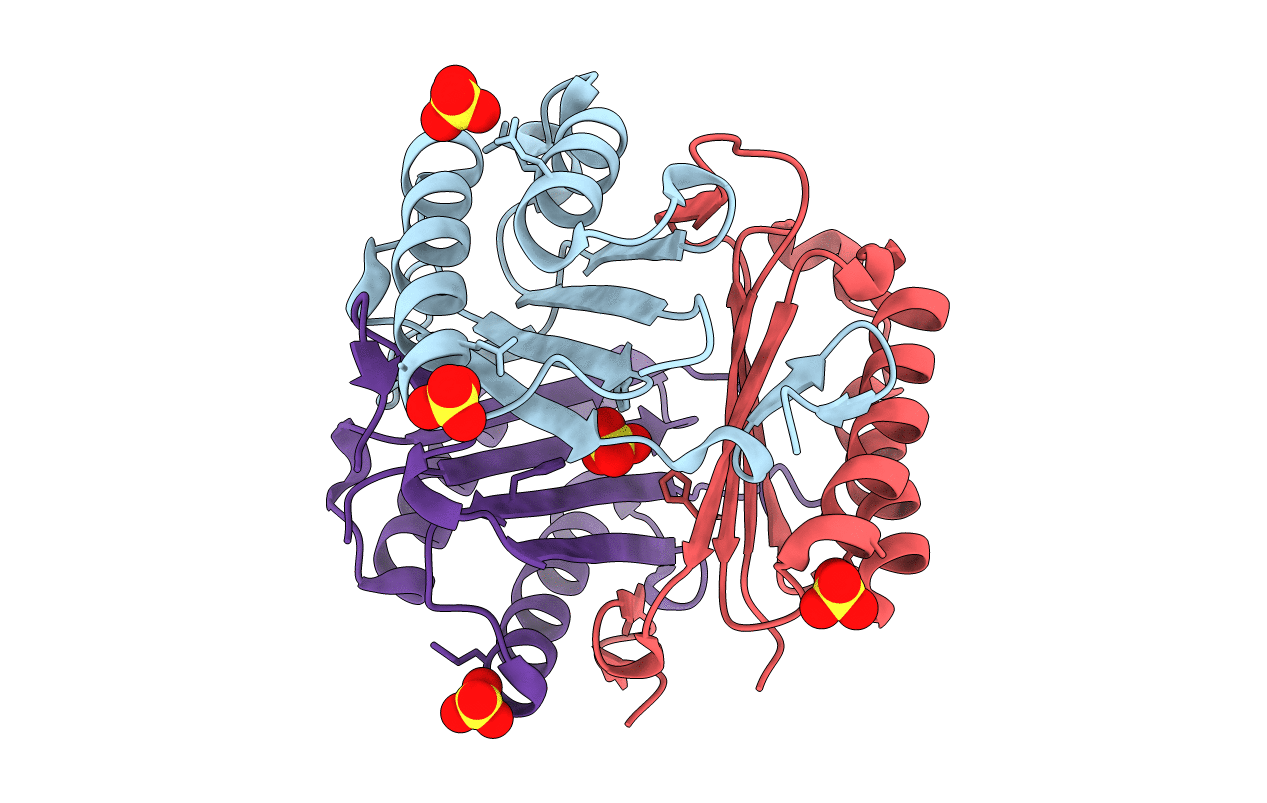 4GRP image
