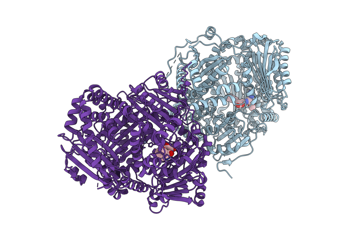 4GSF image