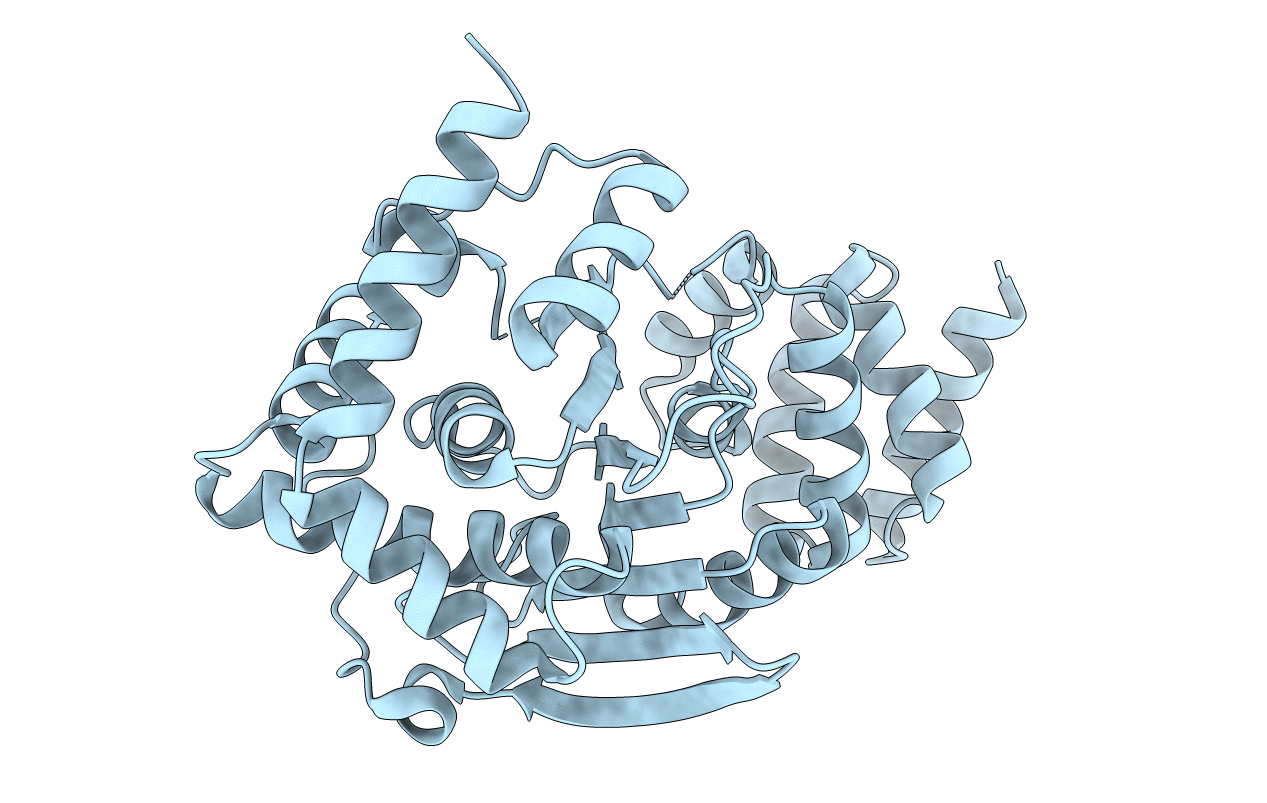 4GTN image