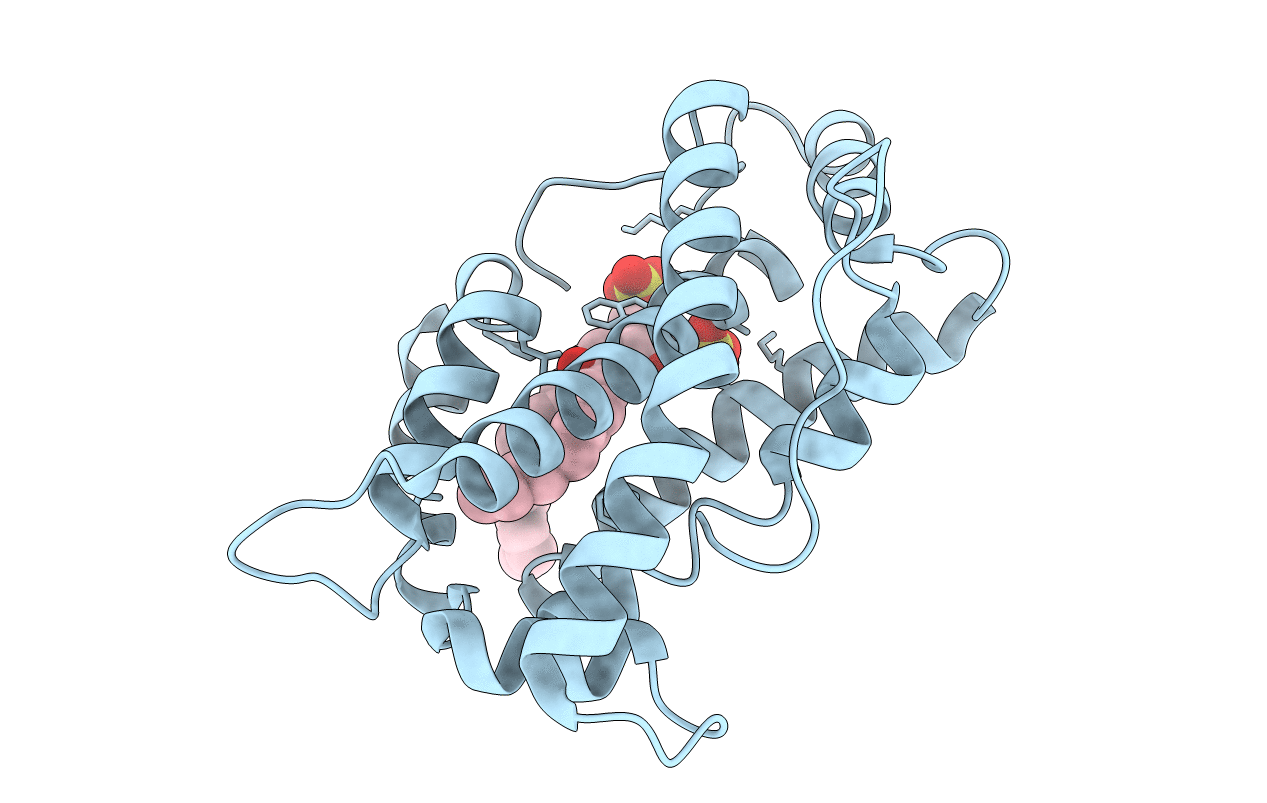 4GVT image