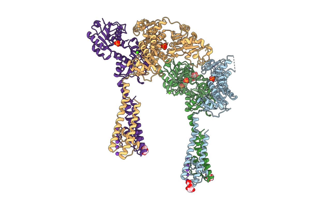 4GX0 image