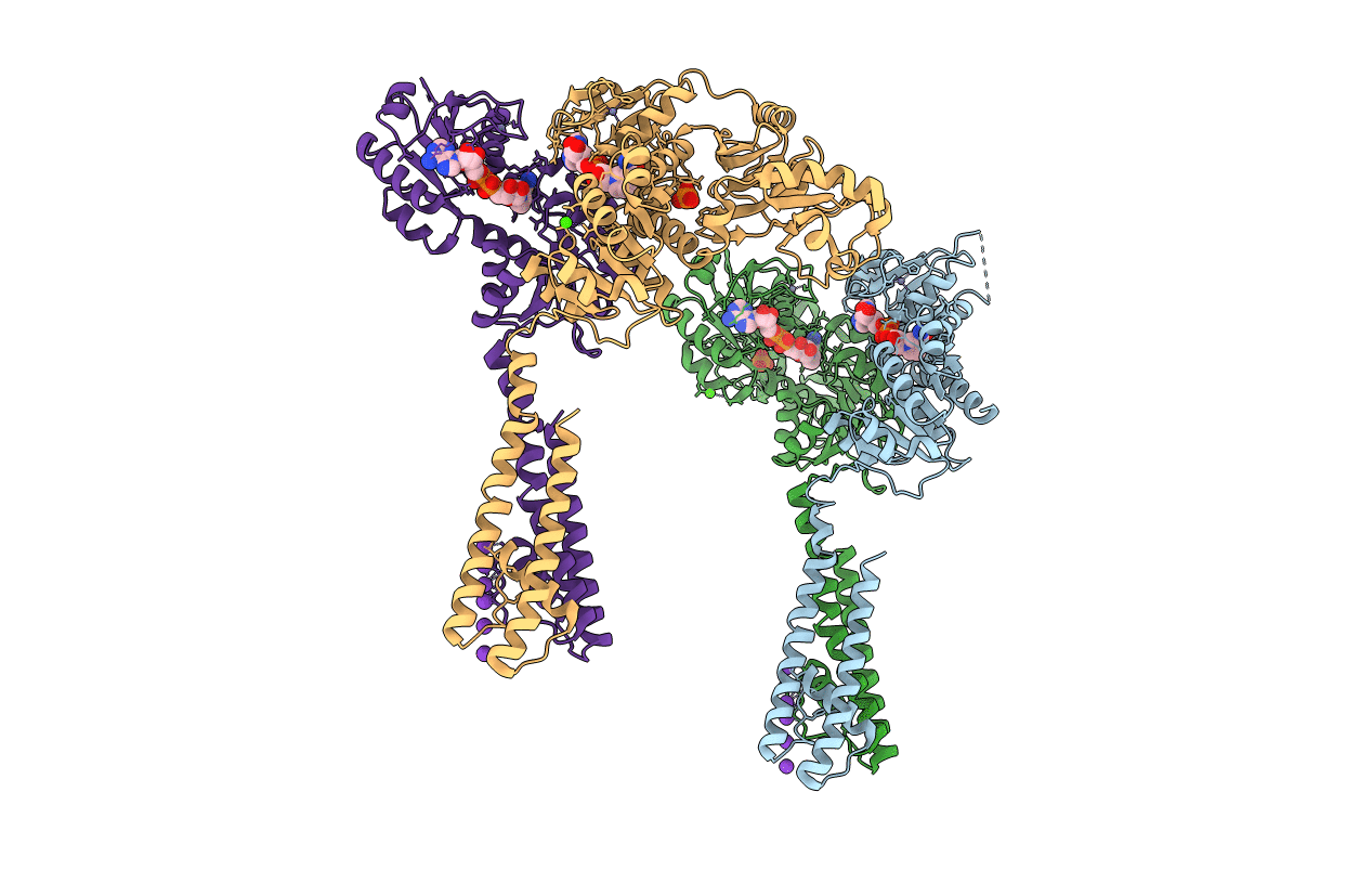 4GX2 image