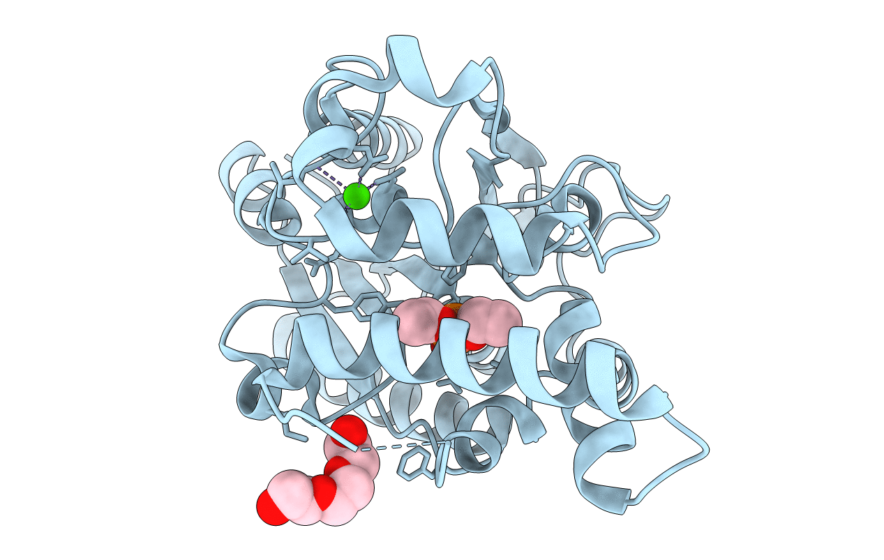 4GXN image