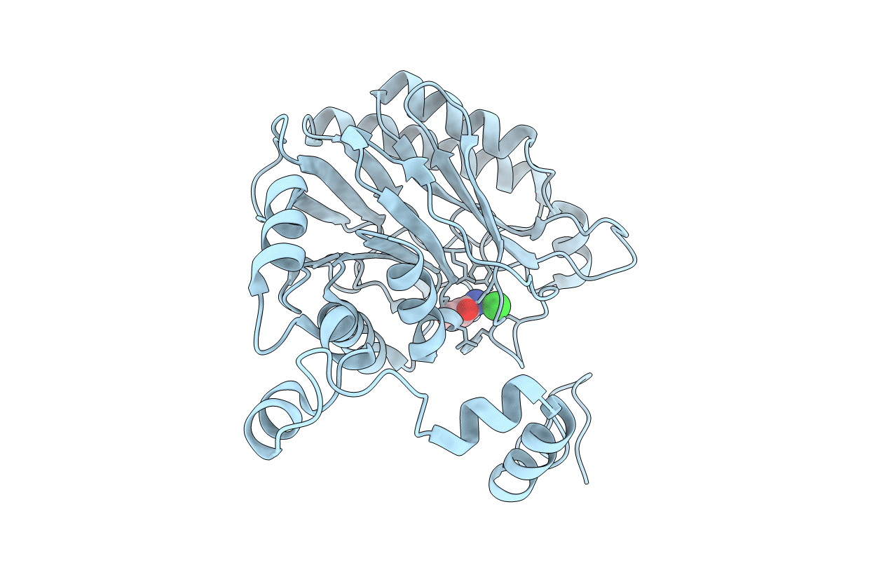 4GYL image