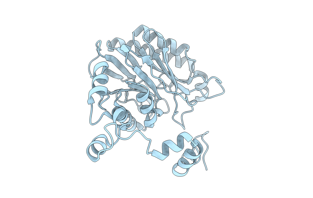 4GYN image