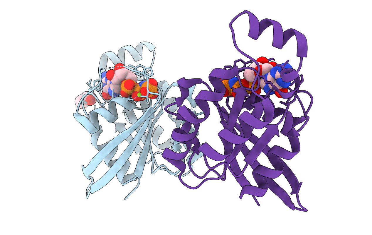 4GZL image