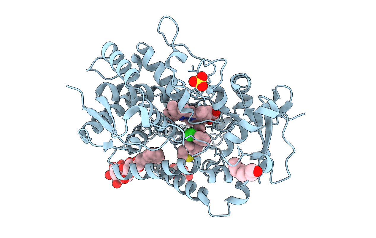 4H1N image
