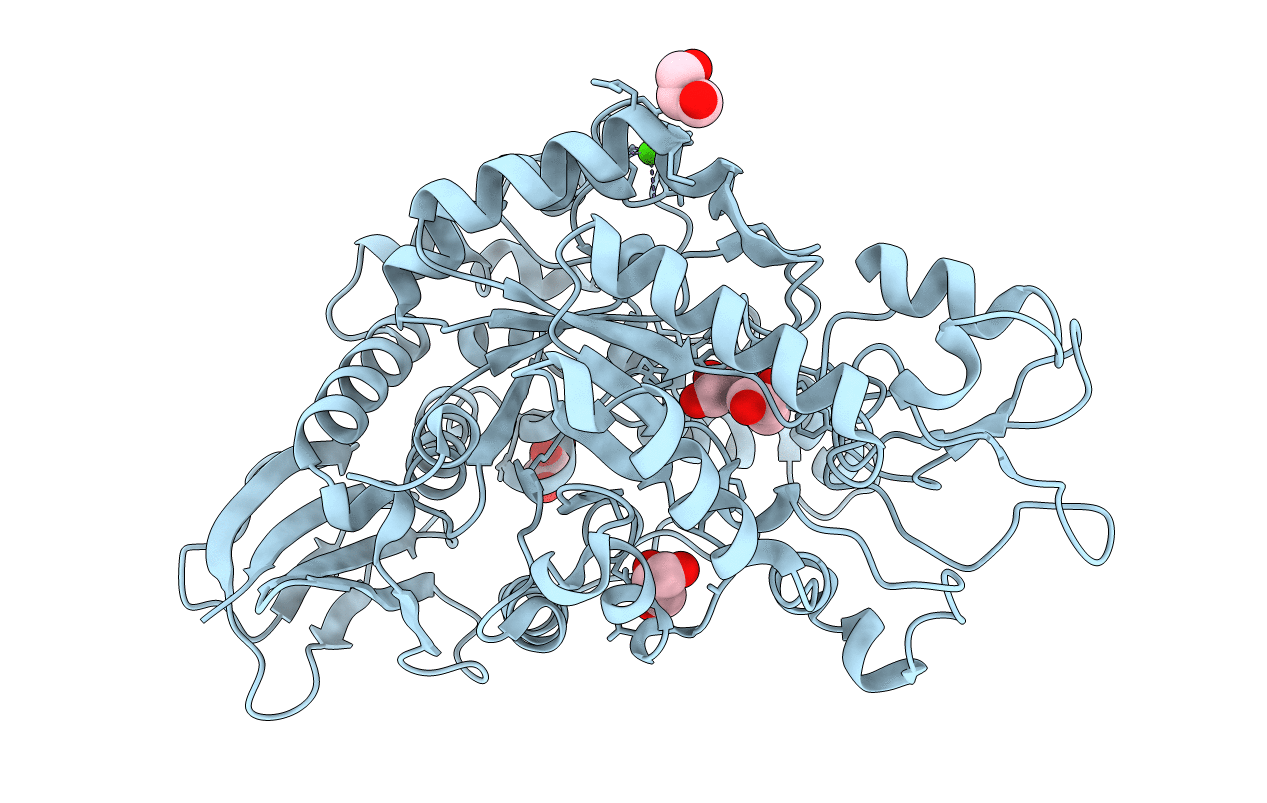 4H2C image