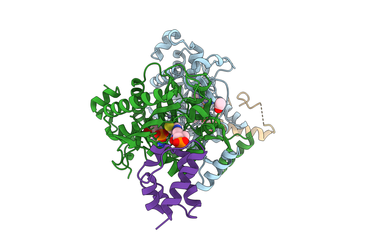 4H2S image
