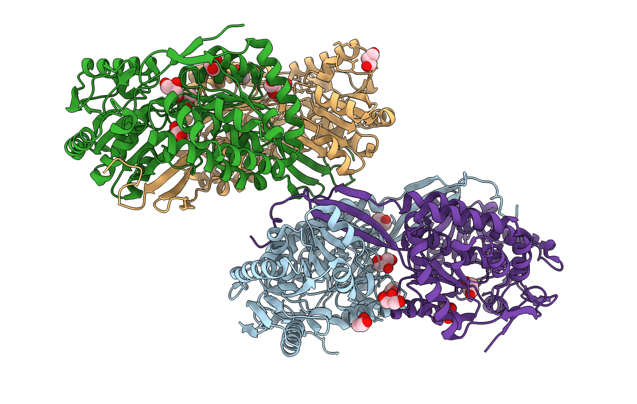 4H7N image