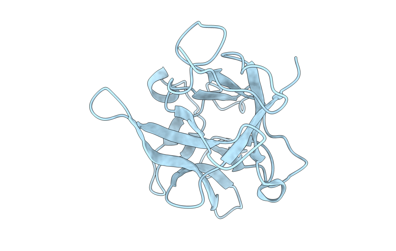 4H9W image