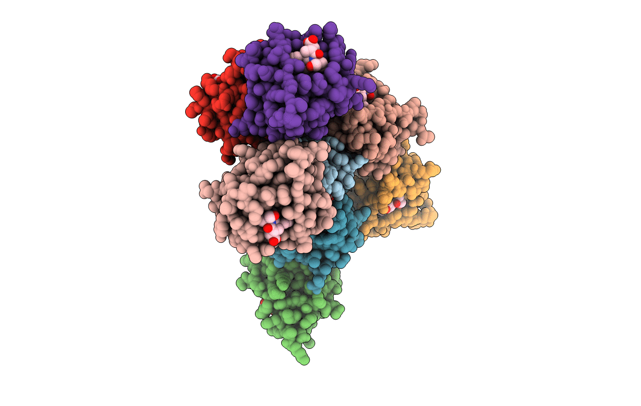 4HBM image