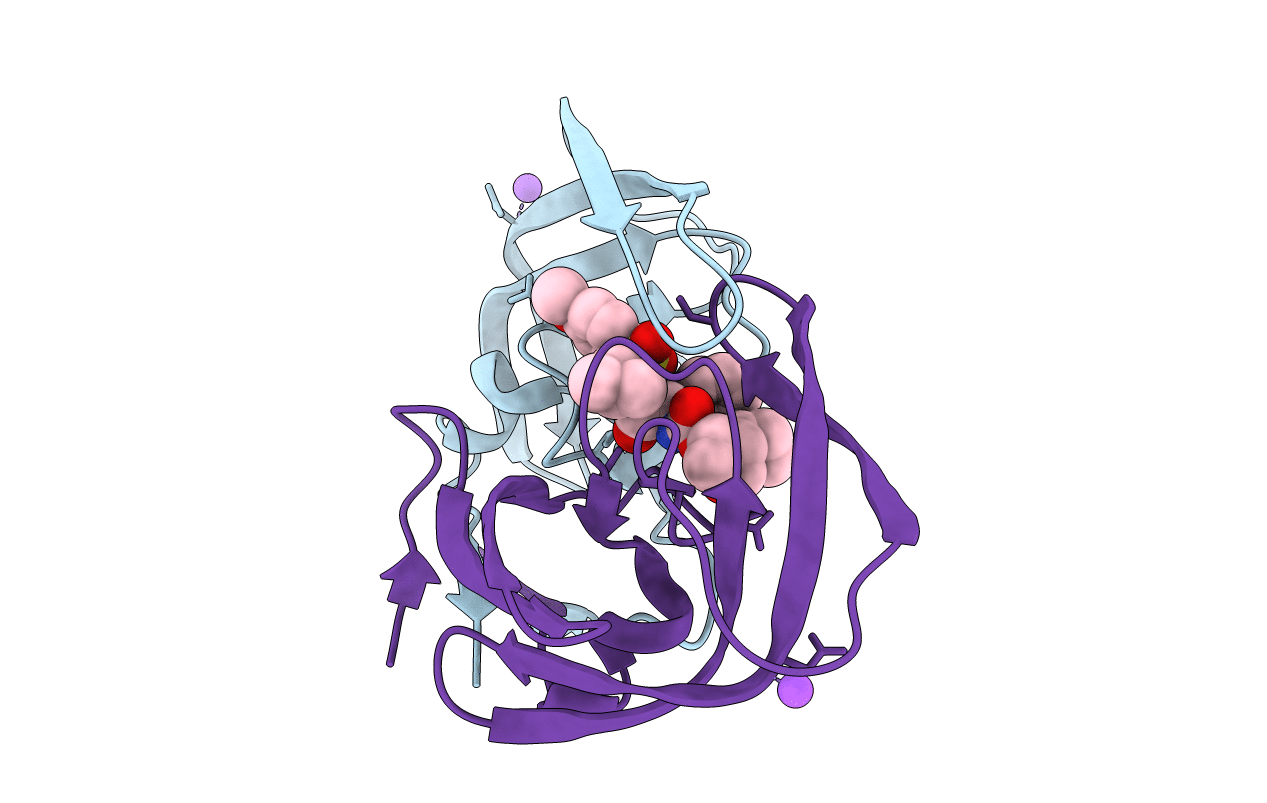 4HDP image