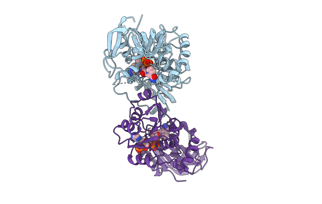 4HFM image