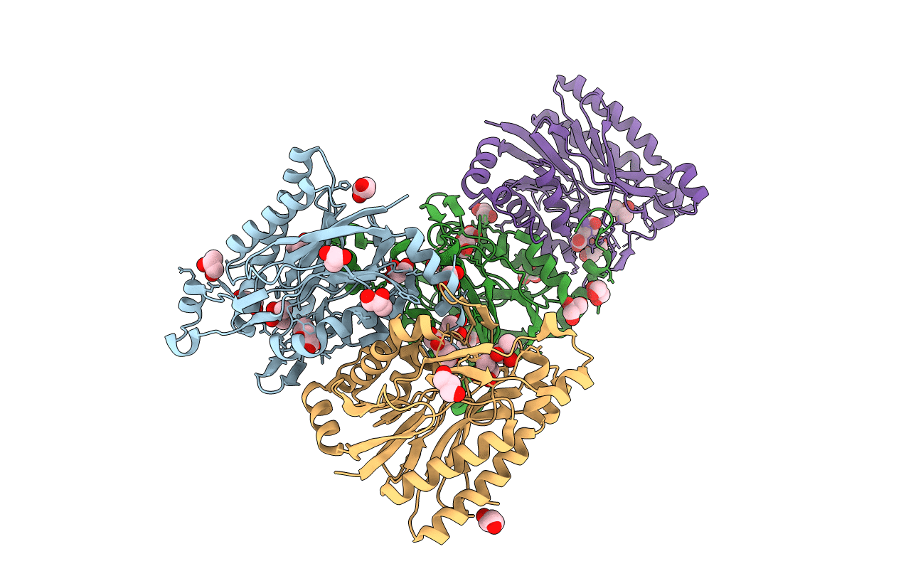 4HG3 image