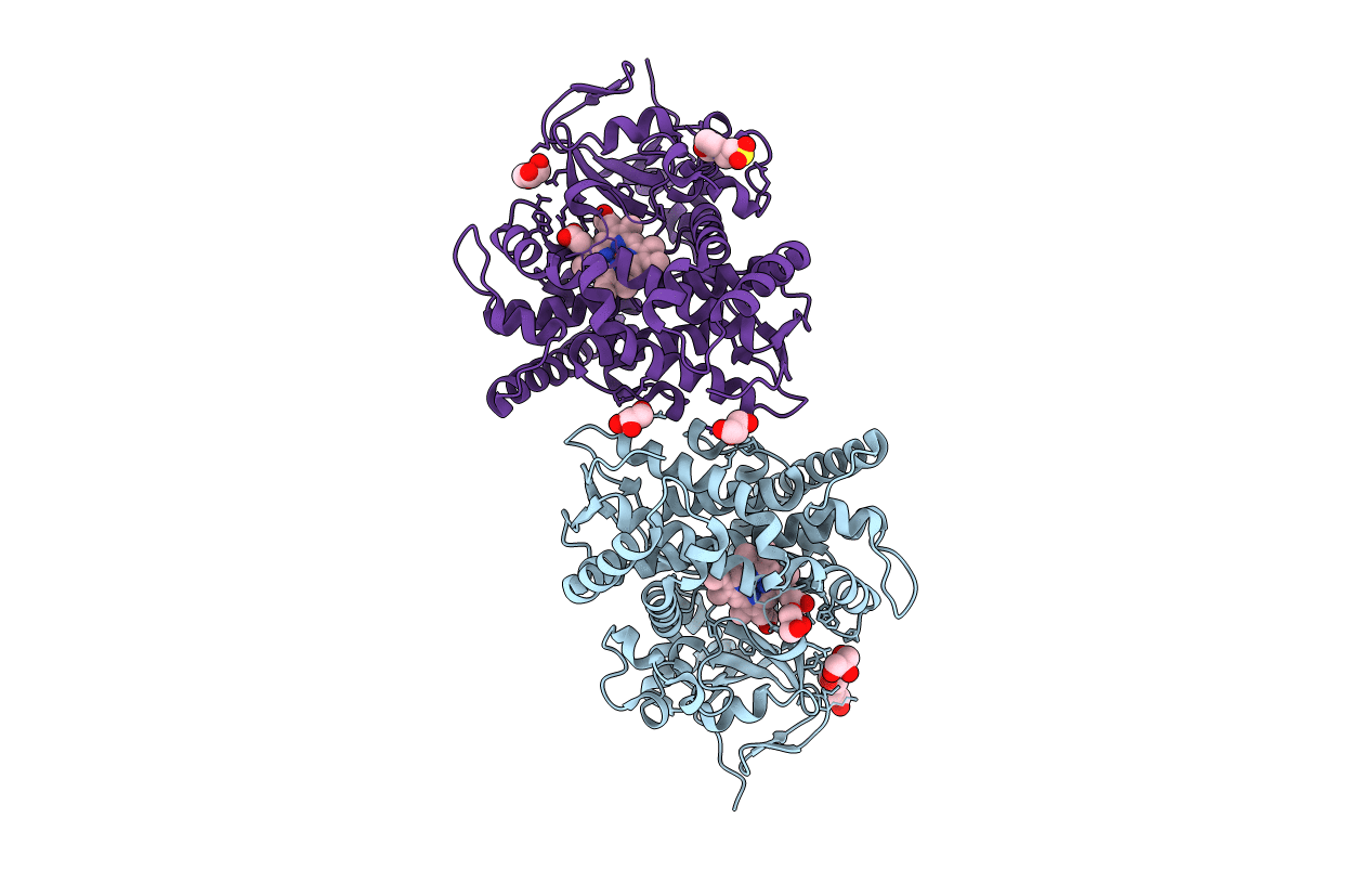 4HGI image