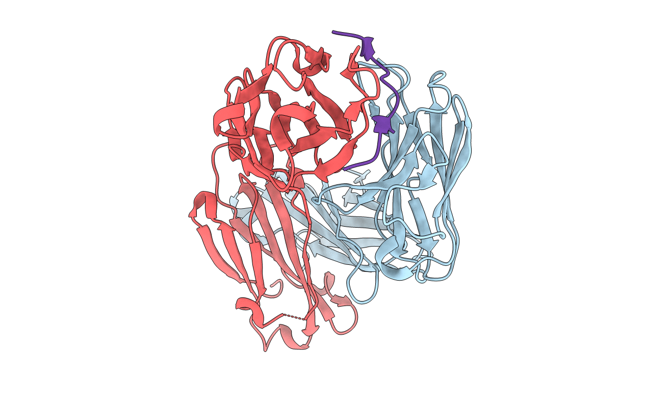 4HHA image