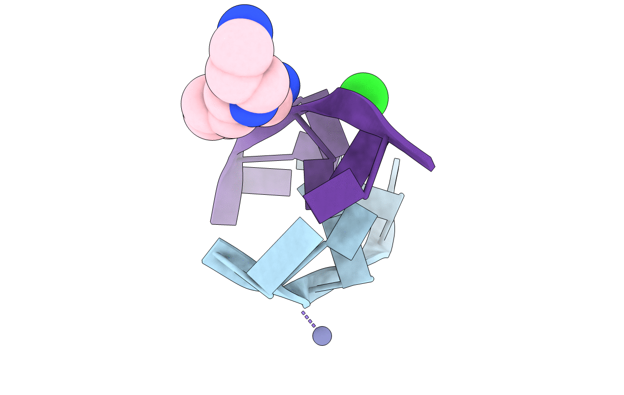 4HIF image